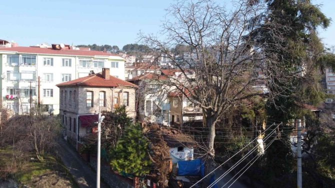 Sanatçılar Osman Zeki Oral’ın Evinin Müze Olmasını İstedi