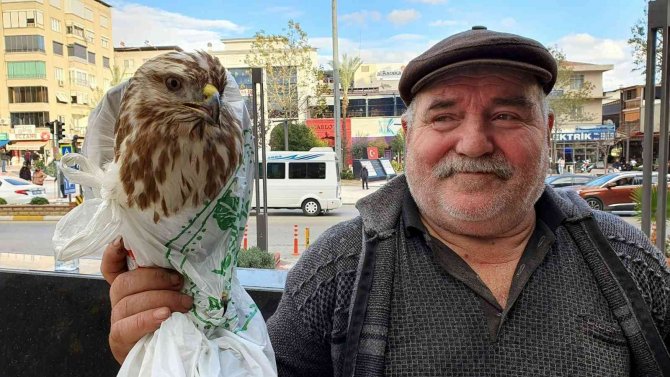 Hakkı Bulut Hayranı Şahin, Doğaya Salındı
