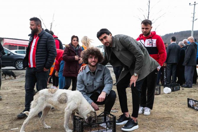 Futbol Ve Basketbolculardan Sokak Hayvanlarına Destek