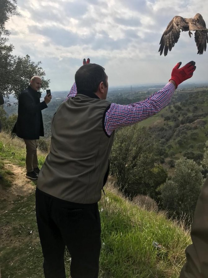 Hakkı Bulut Hayranı Şahin, Doğaya Salındı