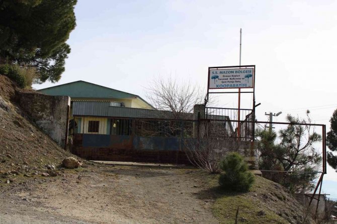 Üreticilere Umut Olacaktı, Şimdi Çürümeye Terk Edildi