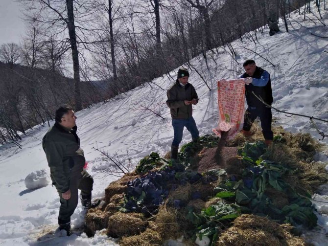 Kış Ayında Hayvanlara 70 Ton Yem Bırakıldı