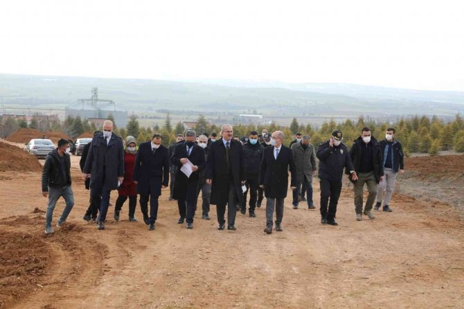 Valilik Zarar Gören Ağaçlar İçin Kayıtsız Kalmadı, İnşaat Çalışmaları Durduruldu
