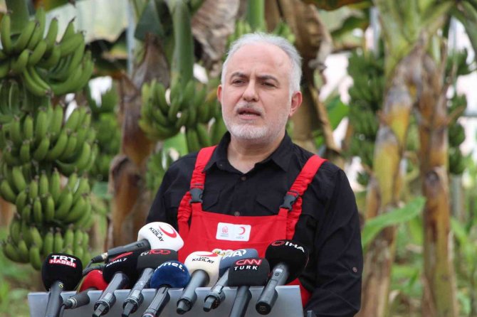 Kızılay’dan Hatay’da Muz Hasadı