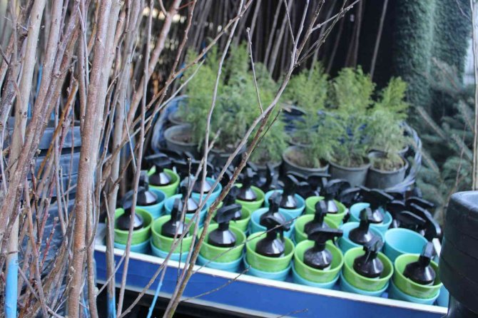 İ̇lk Cemre Düştü Fidancılarda Hareket Başladı