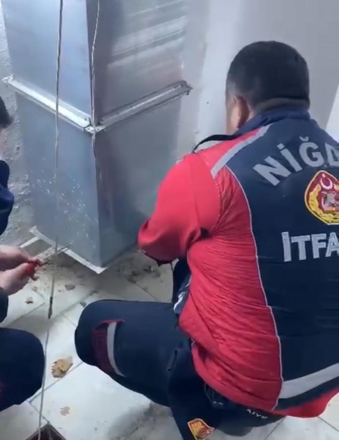 Havalandırmada Sıkışan Yavru Kediyi İtfaiye Kurtardı