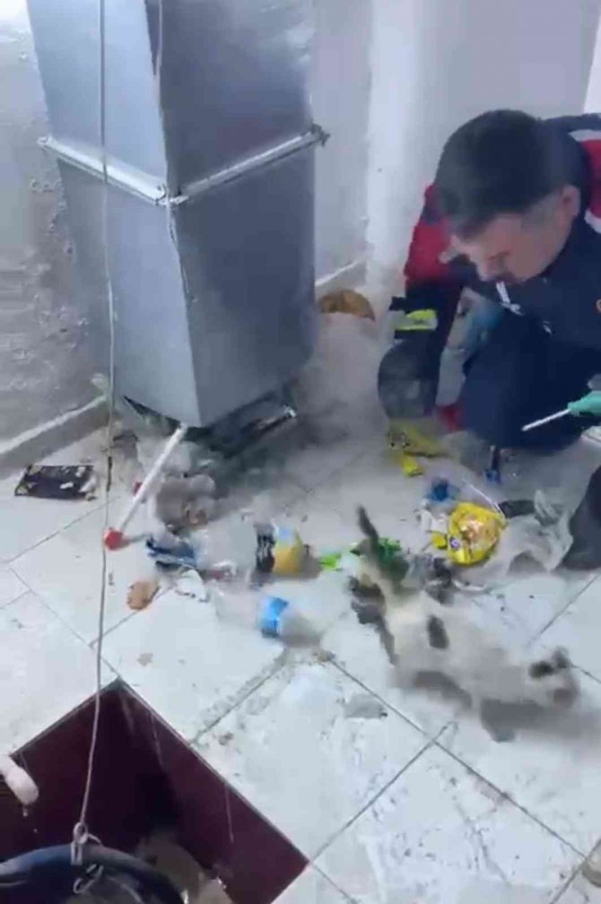 Havalandırmada Sıkışan Yavru Kediyi İtfaiye Kurtardı
