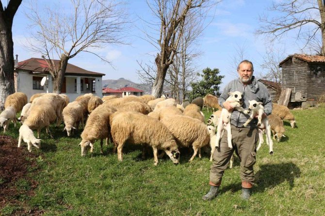 Başkan Güler’in Projesi 2 Buçuk Yılda 5’e Katladı