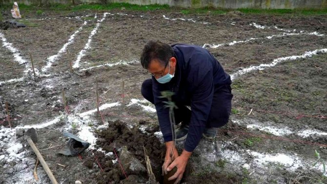 Mustafakemalpaşa Aromatik Bitkiler Bölgesi Oluyor