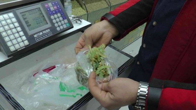 Ihlamurun Kilosu 350 Tl’den Alıcı Buluyor