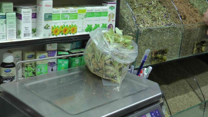 Ihlamurun Kilosu 350 Tl’den Alıcı Buluyor