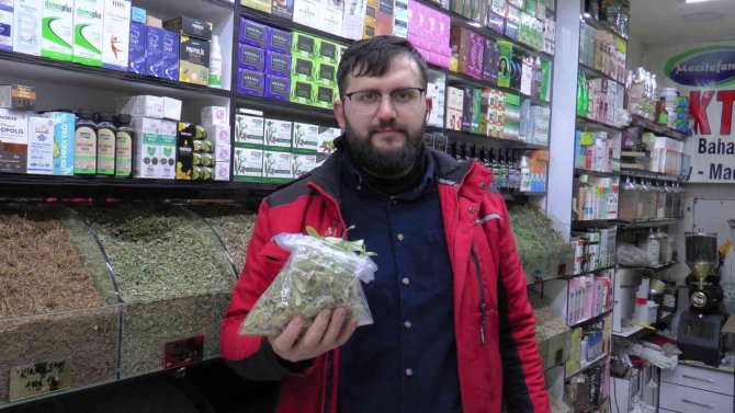 Ihlamurun Kilosu 350 Tl’den Alıcı Buluyor