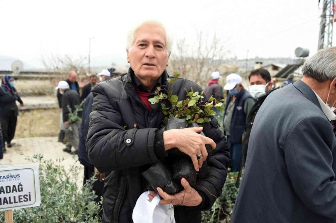 Tarsus Belediyesi, 24 Mahallede Üreticilere Ücretsiz Fidan Dağıttı