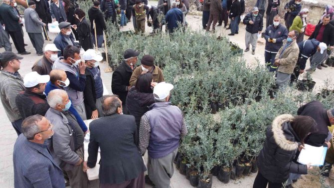 Tarsus Belediyesi, 24 Mahallede Üreticilere Ücretsiz Fidan Dağıttı