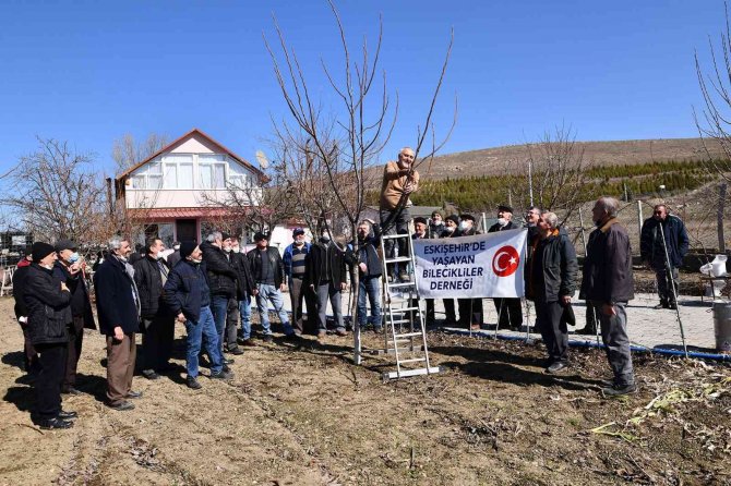 Tepebaşı’nda Budama Eğitimleri Sürüyor