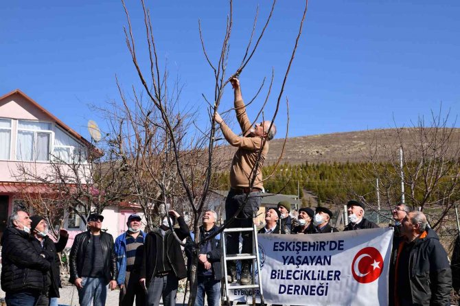 Tepebaşı’nda Budama Eğitimleri Sürüyor