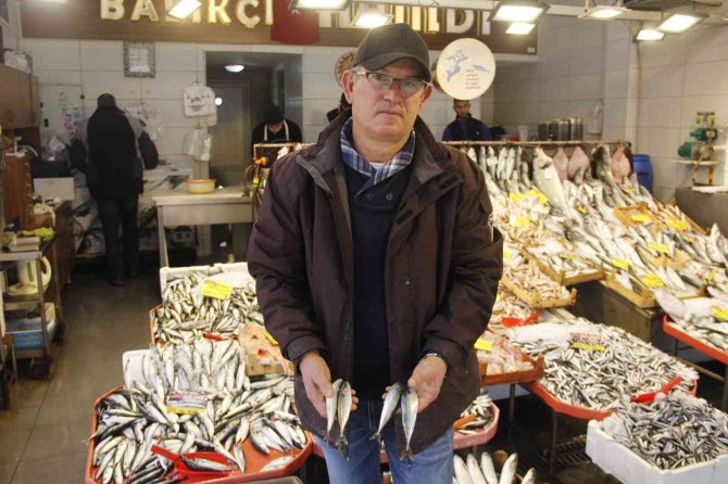 Uzun Yıllardır Görünmüyordu, Yeniden Tezgahları Şenlendirmeye Başladı