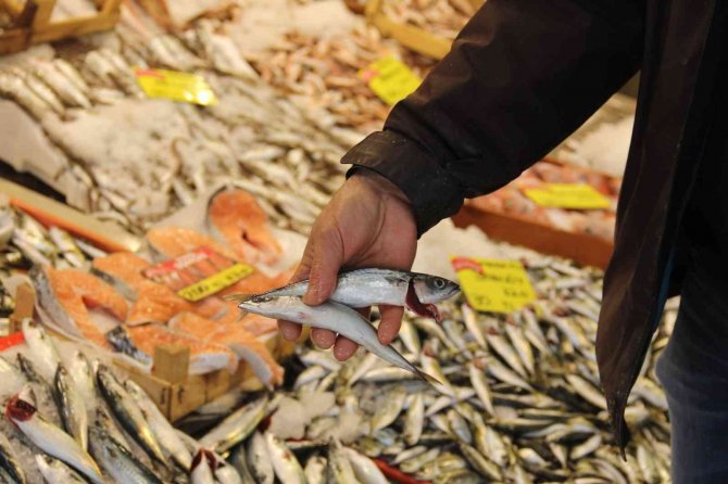 Uzun Yıllardır Görünmüyordu, Yeniden Tezgahları Şenlendirmeye Başladı