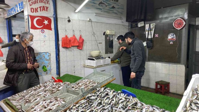 Balıkçılar Sezon Umutsuz Kapatıyor