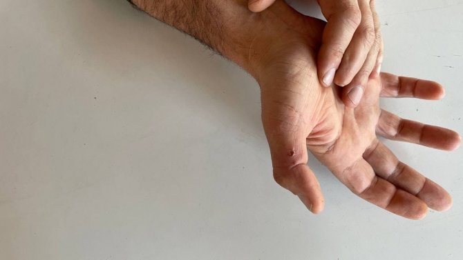 Görenler Çığlık Çığlığa Kaldı, Kavganın Ortasında Zülfikar Kılıcıyla Saldırmaya Kalktı