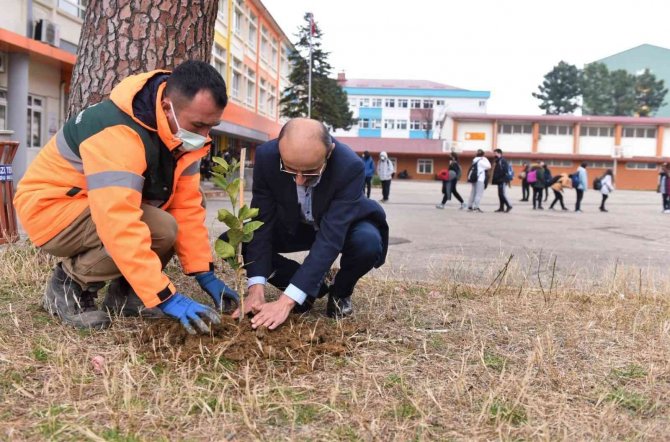 Altınordu’da Okul Bahçeleri Yeşilleniyor