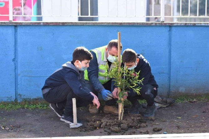 Altınordu’da Okul Bahçeleri Yeşilleniyor