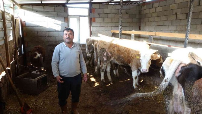 Antalya’da Jandarmanın Hayvanlarına Kavuşturduğu Besici Büyük Mutluluk Yaşadı