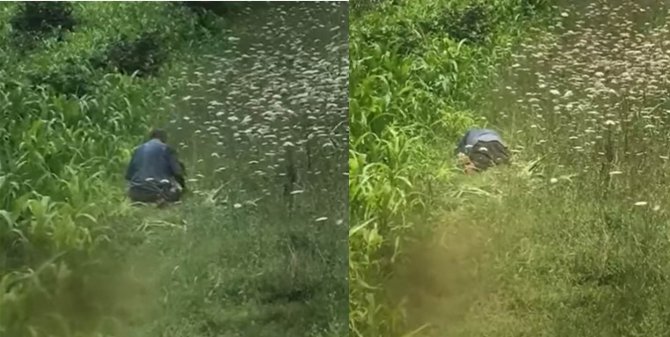 Köpeğe Cinsel Taciz Davasında Kan Donduran İfadeler