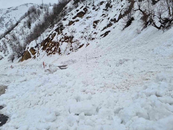 Bingöl’de 3 Noktada Çığ Düştü