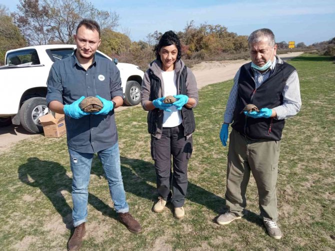 Tedavi Edilen 335 Hayvan Doğaya Salındı