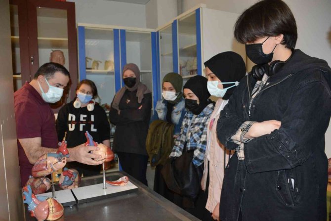 Düzce Üniversitesi Gönüllüsü Oldular