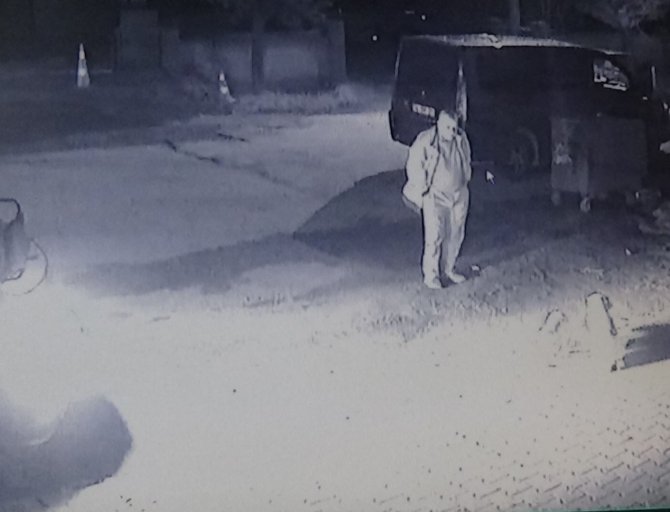 2 Aylık Yavrusu Çalınan Anne Köpek Dünyaya Küstü