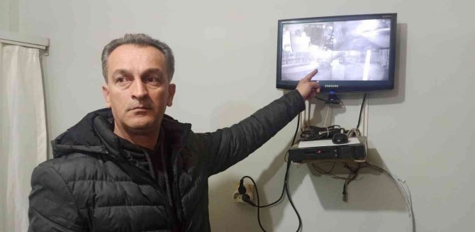 2 Aylık Yavrusu Çalınan Anne Köpek Dünyaya Küstü