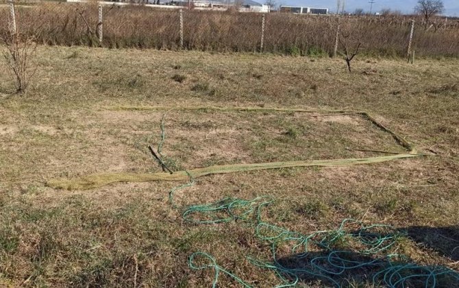 İ̇zmir’de Saka Kuşu Avlayan Şahsa 41 Bin 45 Tl Para Cezası Kesildi