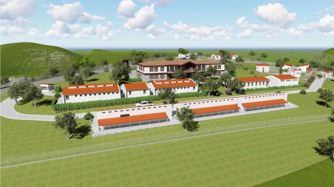 Manisa’da Sokak Hayvanları Doğal Yaşam Parkında Rehabilite Edilecek