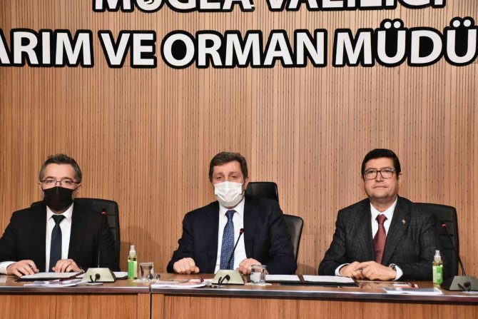 Tıbbi Aromatik Bitkiler Teknik Komitesi Oluşturuldu