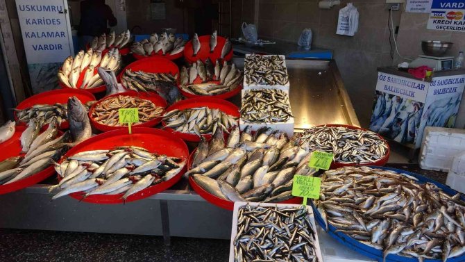 Denizden Az Çıkınca Hamsinin Fiyatı Yükseldi