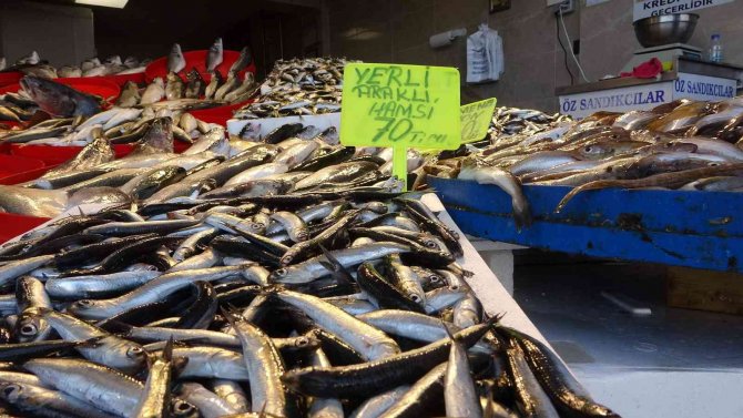Denizden Az Çıkınca Hamsinin Fiyatı Yükseldi