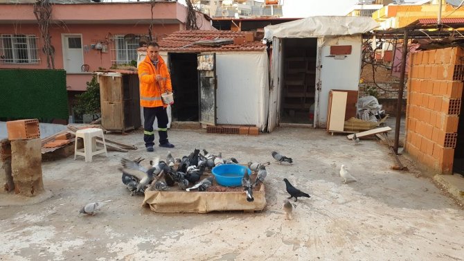 Ezeli Düşmanların Dostluğu Kısa Sürdü
