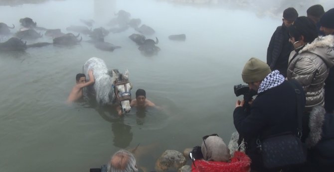 Budaklı Kaplıcası Doğal Fotoğraf Stüdyosuna Döndü
