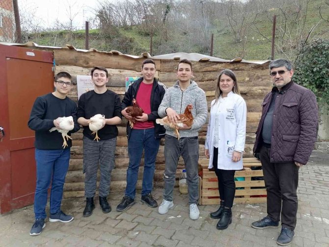 Lise Öğrencileri Hayallerini Gerçekleştirmek İçin Tavuk Yetiştirip, Yumurta Üretiyor