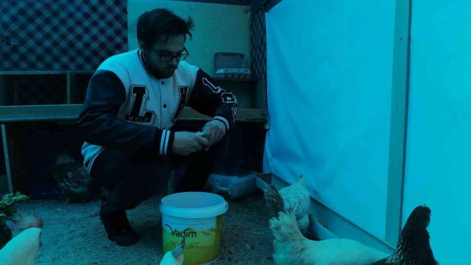 Lise Öğrencileri Hayallerini Gerçekleştirmek İçin Tavuk Yetiştirip, Yumurta Üretiyor