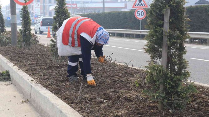 Düzce’de Bitkiler Bahara Hazırlanıyor