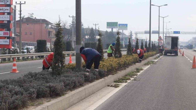 Düzce’de Bitkiler Bahara Hazırlanıyor