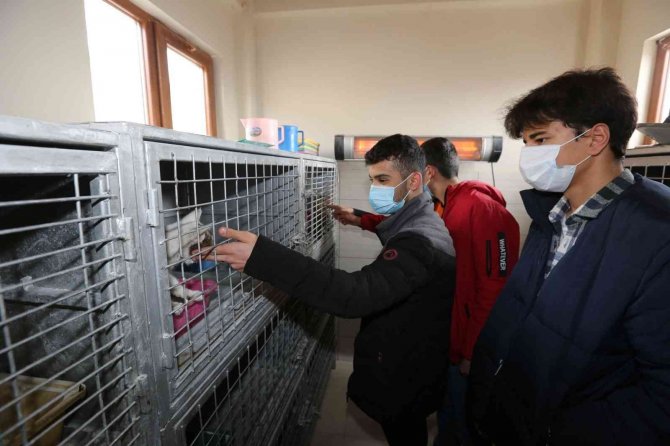 Öğrenciler Minik Dostları İle Bir Araya Geldi