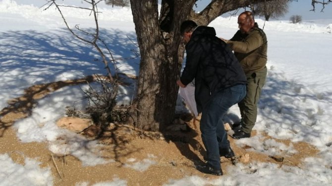 Elazığ’da Yemleme Çalışmaları Sürüyor