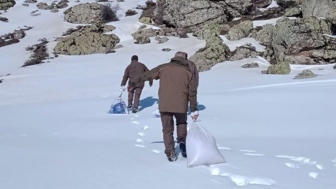 Elazığ’da Yemleme Çalışmaları Sürüyor