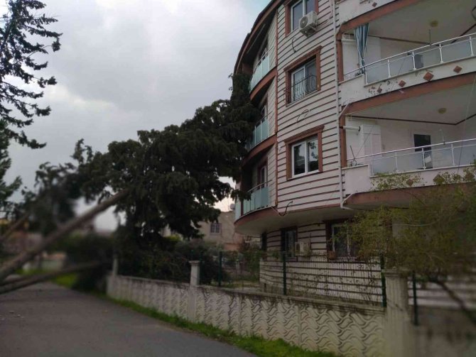 Hatay’da Fırtına Çatıları Uçurdu Ağaçları Kökünden Söktü