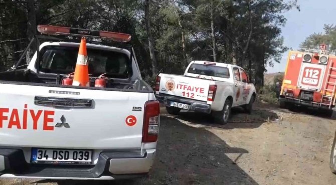 İ̇skenderun’da Orman Yangını