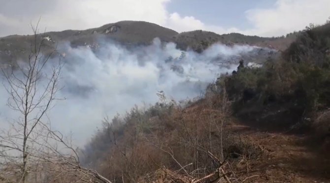 İ̇skenderun’da Orman Yangını